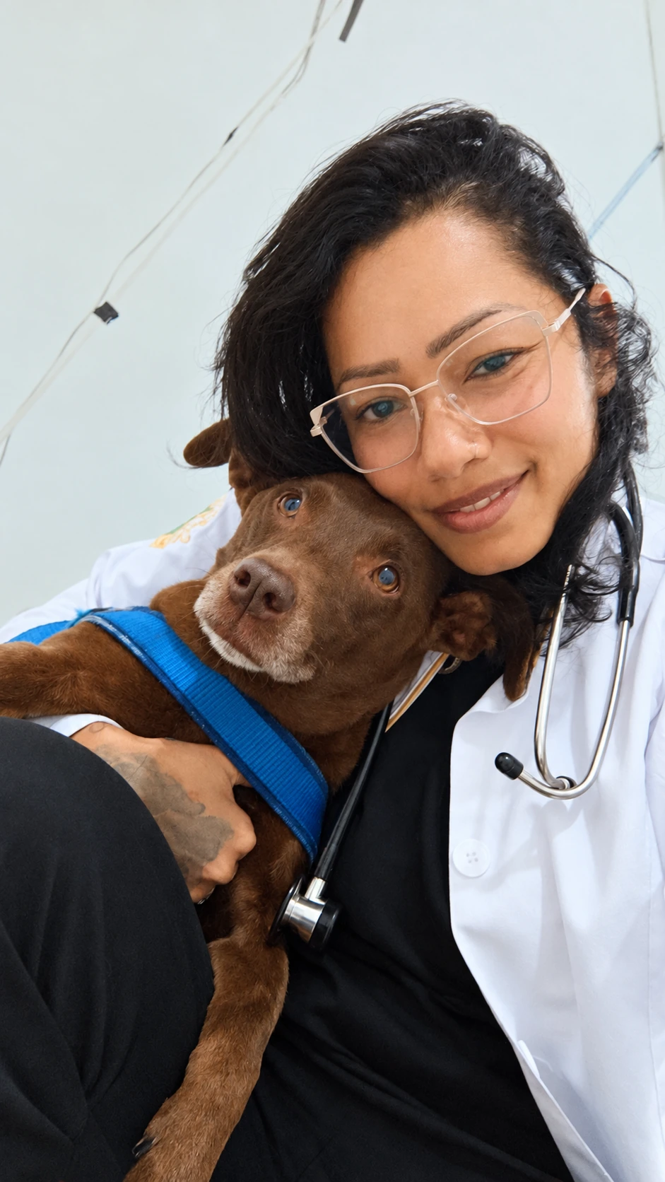 Dra. Elayne abraçando um cão marrom com peitoral azul